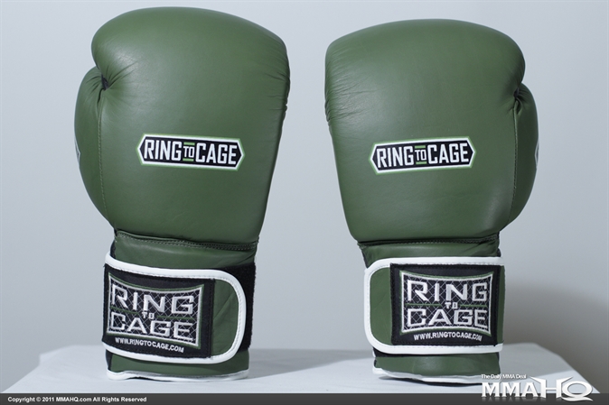 Ring to Cage Limited Edition Deluxe MiM Sparring Gloves